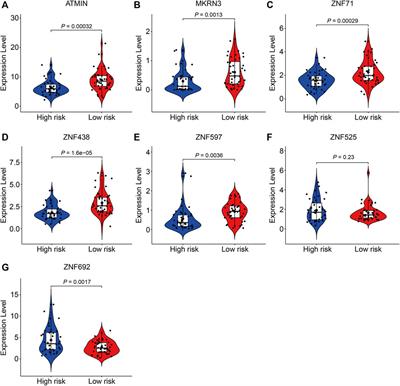 Comprehensive Analysis of a Zinc Finger Protein Gene–Based Signature with Regard to Prognosis and Tumor Immune Microenvironment in Osteosarcoma